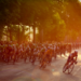 В Ленобласти пройдет массовый велозаезд Gran Fondo Россия